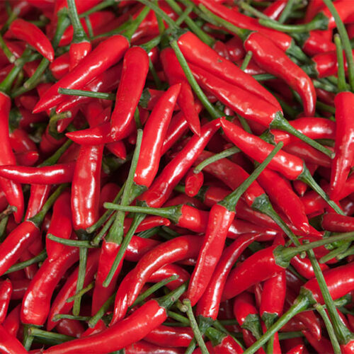 Wholesale Fruit and Vegetables Exotics Red Chillies APM Fresh Produce Specialists