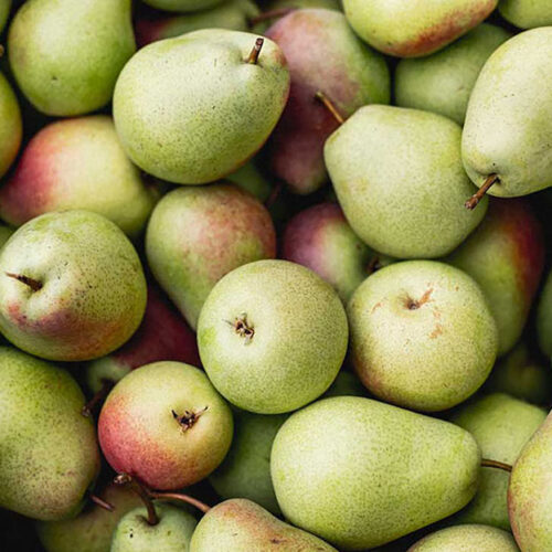 Wholesale Fruit and Vegetables Fruits Conference Pears APM Fresh Produce Specialists