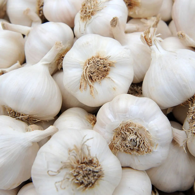Product: Organic Garlic| APM Fresh Fruit & Vegetable Wholesalers & Importers UK