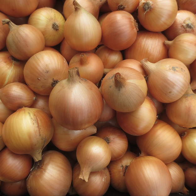 Product: Organic Gold Onions| APM Fresh Fruit & Vegetable Wholesalers & Importers UK
