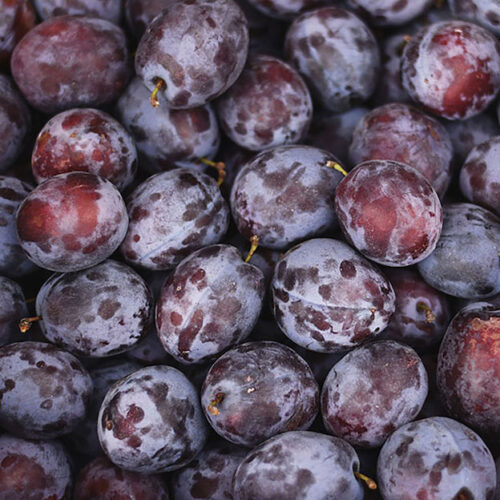 Wholesale Fruit and Vegetables Plums UK Plums APM Fresh Produce Specialists