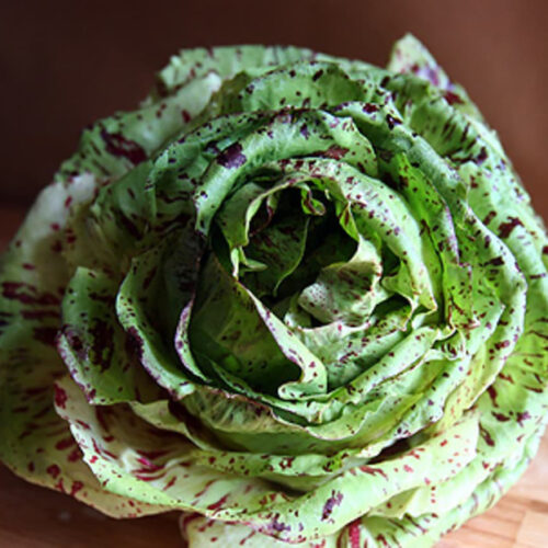 Wholesale Fruit and Vegetables Radicchio Radicchio Castelfranco APM Fresh Produce Specialists