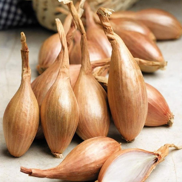 Product: Banana Shallots| APM Fresh Fruit & Vegetable Wholesalers & Importers UK