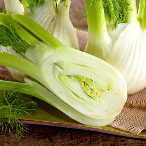 Wholesale Fruit and Vegetables Salads Fennel APM Fresh Produce Specialists