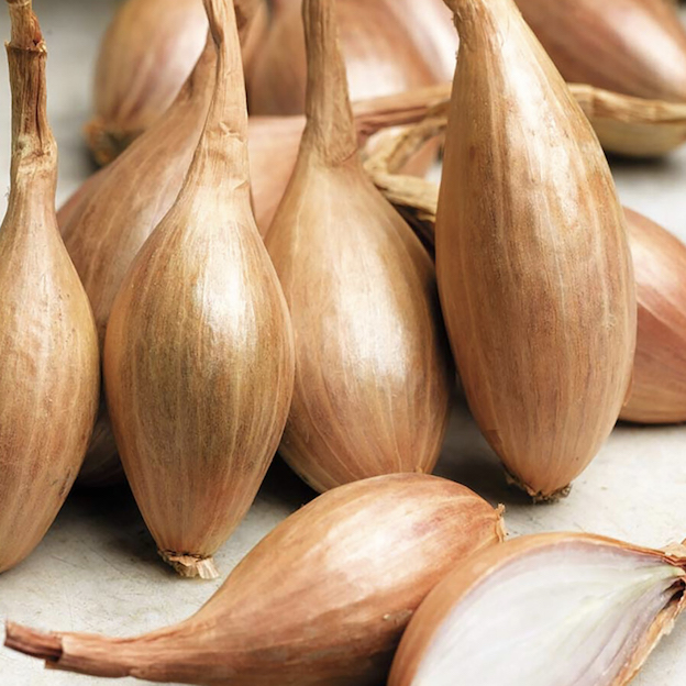 Product: Torpedo Shallots| APM Fresh Fruit & Vegetable Wholesalers & Importers UK