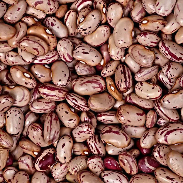 Product: Borlotti Beans| APM Fresh Fruit & Vegetable Wholesalers & Importers UK