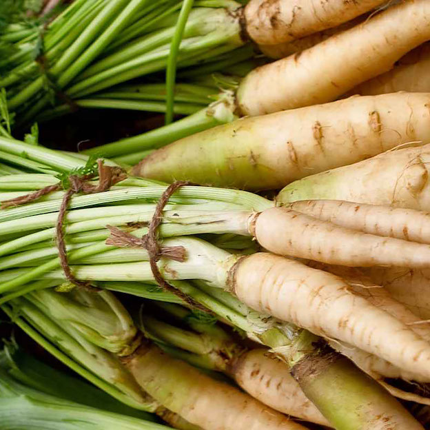 Product: Parsnips| APM Fresh Fruit & Vegetable Wholesalers & Importers UK