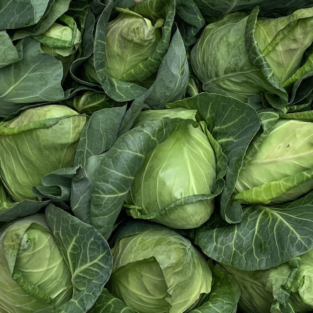 Product: Pointed Cabbage| APM Fresh Fruit & Vegetable Wholesalers & Importers UK