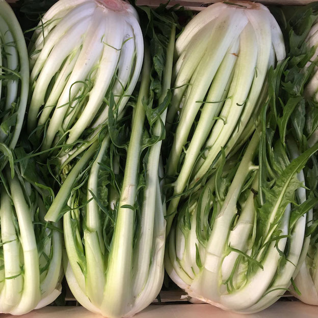 Product: Punterella| APM Fresh Fruit & Vegetable Wholesalers & Importers UK