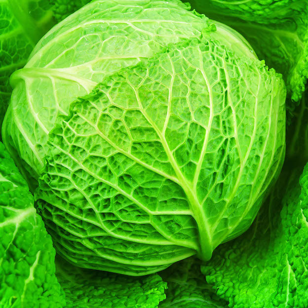 Product: Savoy Cabbage| APM Fresh Fruit & Vegetable Wholesalers & Importers UK