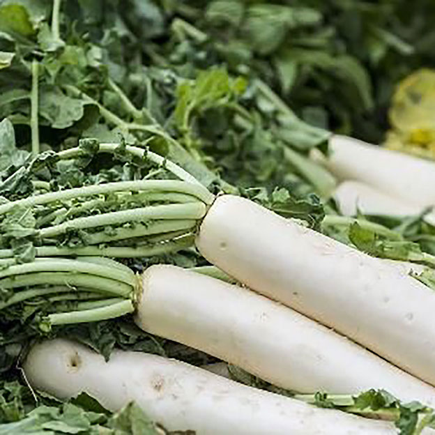 Product: Small Mouli| APM Fresh Fruit & Vegetable Wholesalers & Importers UK