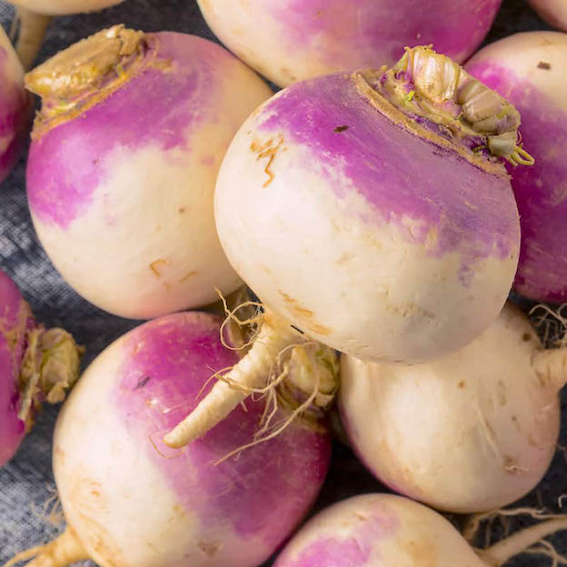 Product: Turnips| APM Fresh Fruit & Vegetable Wholesalers & Importers UK